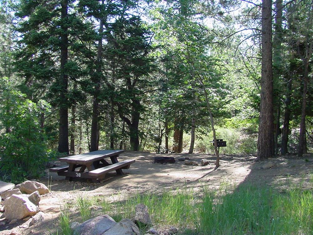 Secluded campsite Pineknot campground