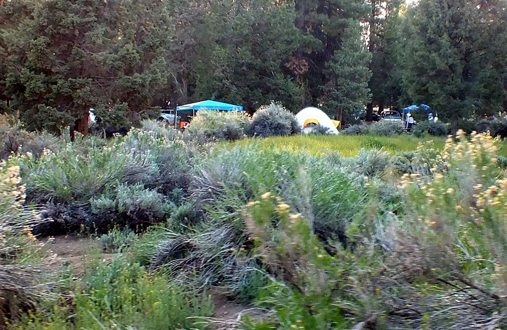 Serrano Campground Big Bear CA