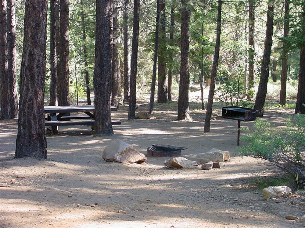 Site with picnic table fire ring and BBQ