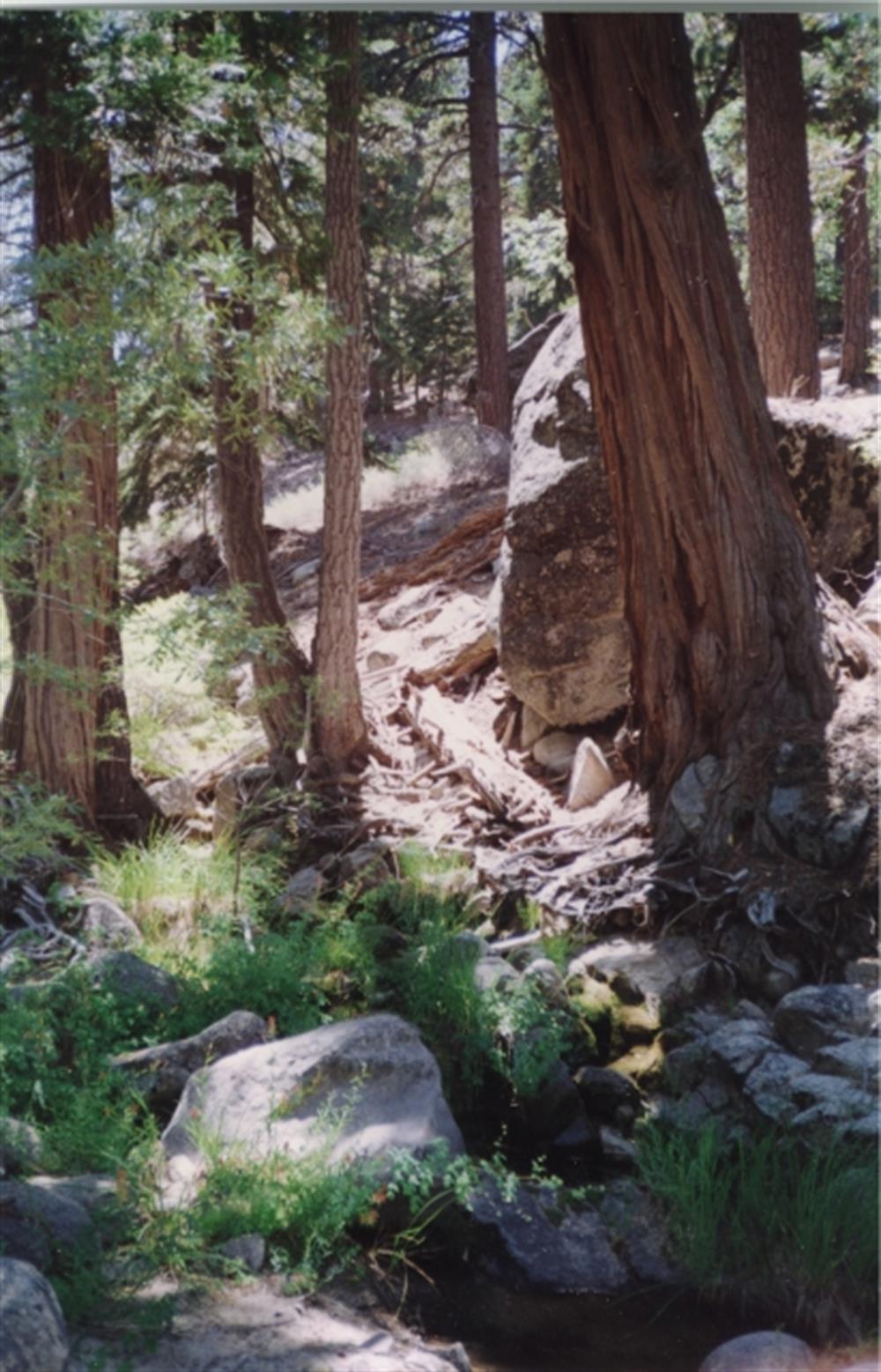 Stream near the trail