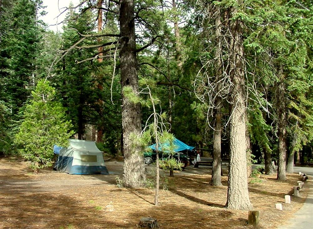 Tent sites