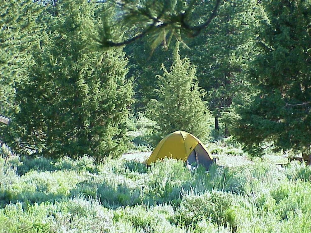 Yellow tent in the Serrano Campground
