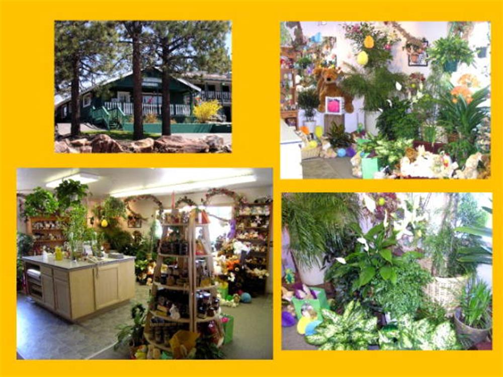 The Little Green House Florist 2