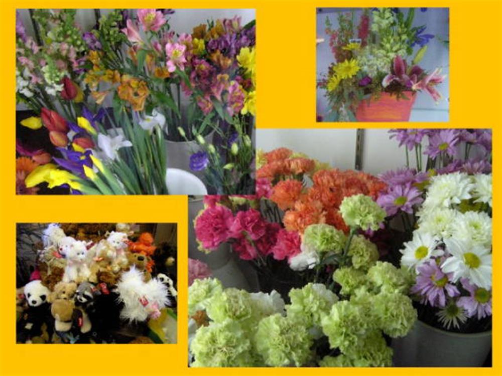 The Little Green House Florist 3