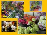 The Little Green House Florist 3