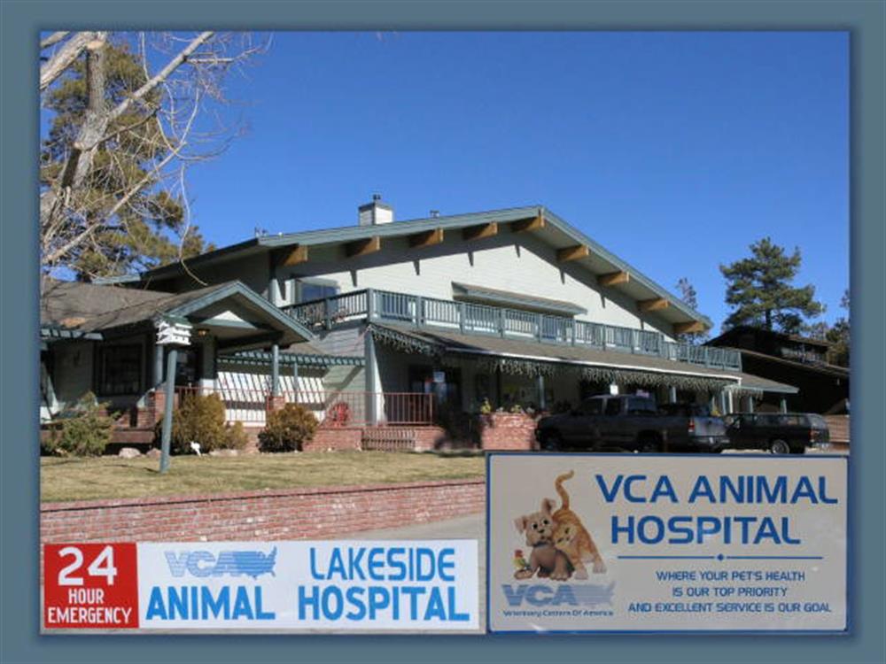 VCA Lakeside Animal Hospital 1