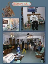 VCA Lakeside Animal Hospital 2