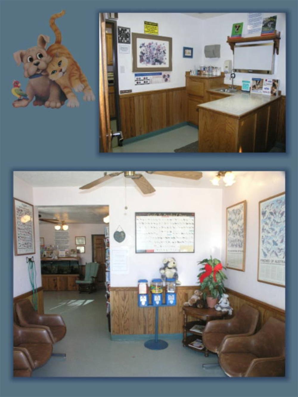 VCA Lakeside Animal Hospital 3