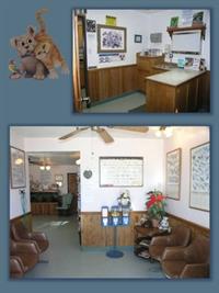 VCA Lakeside Animal Hospital 3