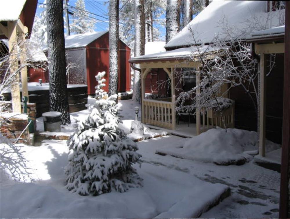 Cozy Hollow Lodge 4