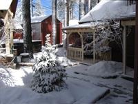 Cozy Hollow Lodge 4