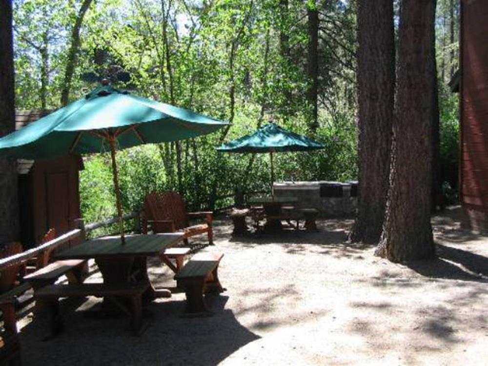 Cozy Hollow Lodge 7