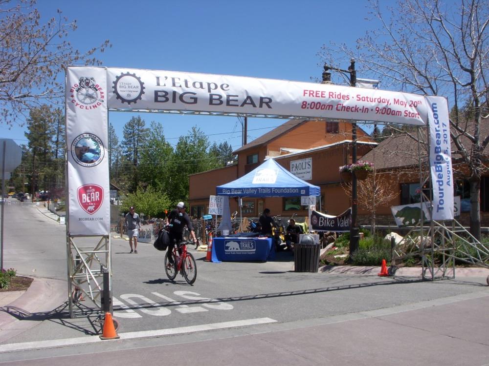Amgen (12)