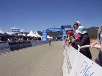 Amgen (28)