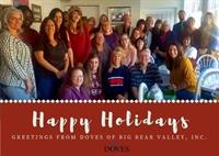 DOVES happy holi 12-2017