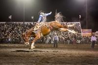 2014 Bucking Horse Final Version June 2014