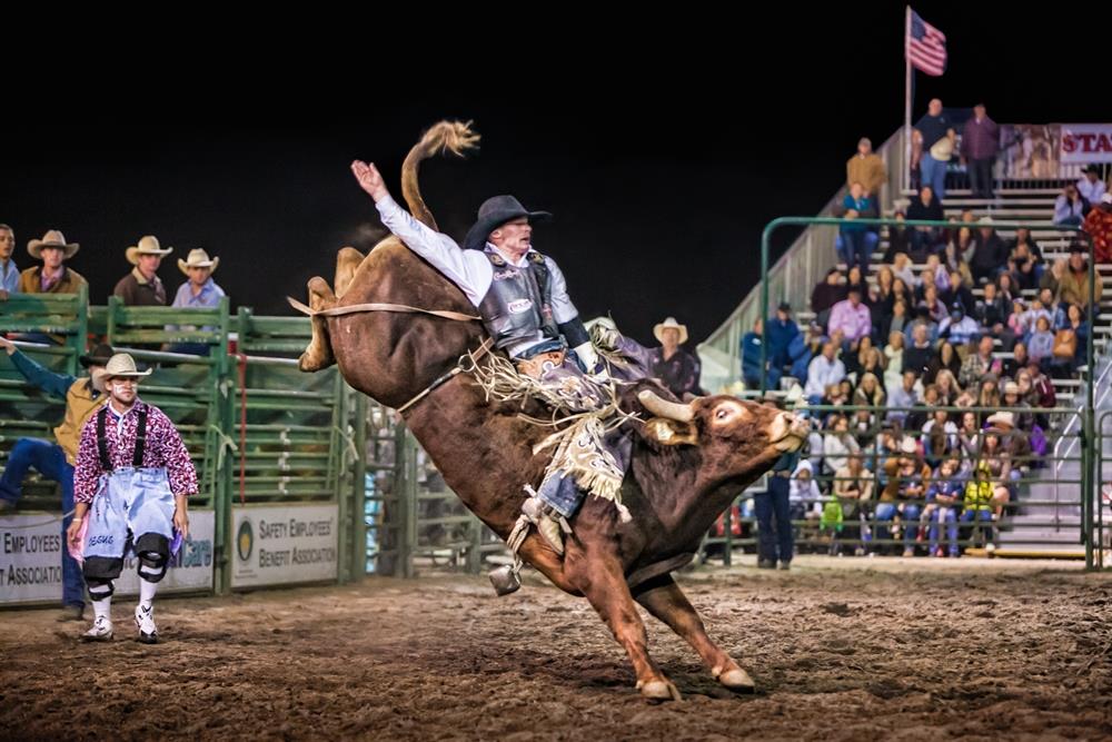 2015 Final The Bull Rider