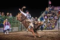 2015 Final The Bull Rider