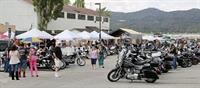 Run_for_Grizzly_2014_IMG_2340[1]