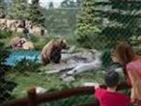 ZOO on websitejpg