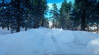 20170124_154353(0)[1]