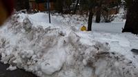 20170203_133140[1]