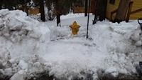 20170203_134801[1]