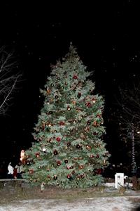 20151128-BBLTreeLighting-014[1]