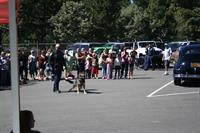 IMG_5377(2)