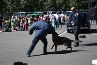 IMG_5386(2)