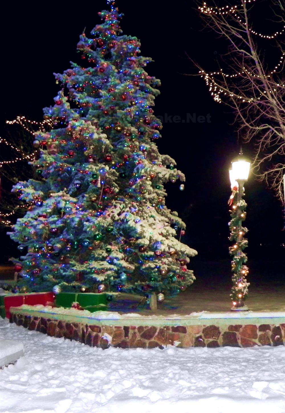 Santa & the Christmas Tree Lighting