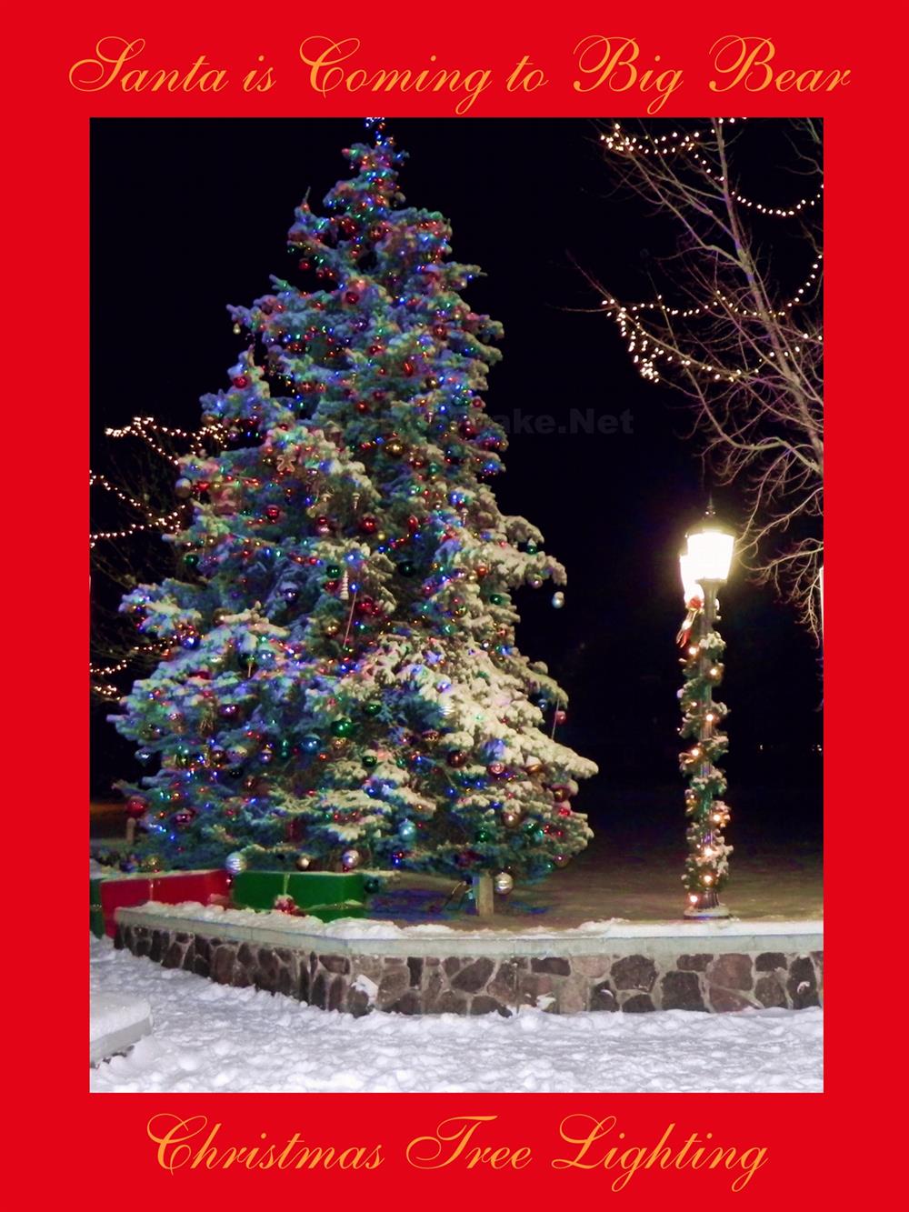 Santas Grand Entrance & Tree Lighting