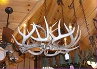 Antler hanging light fixture