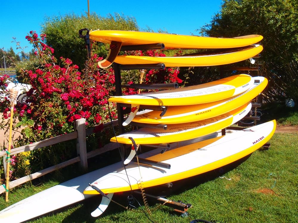 Paddle Boards Galore
