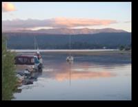 sail boats