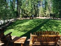 Large Lawn and Play Area