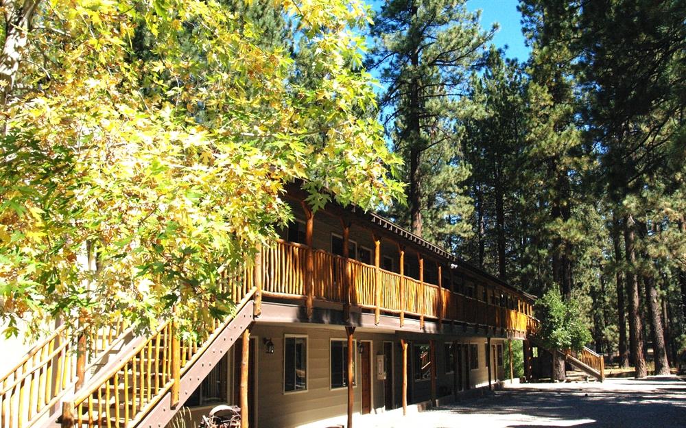 Goldmine Lodge