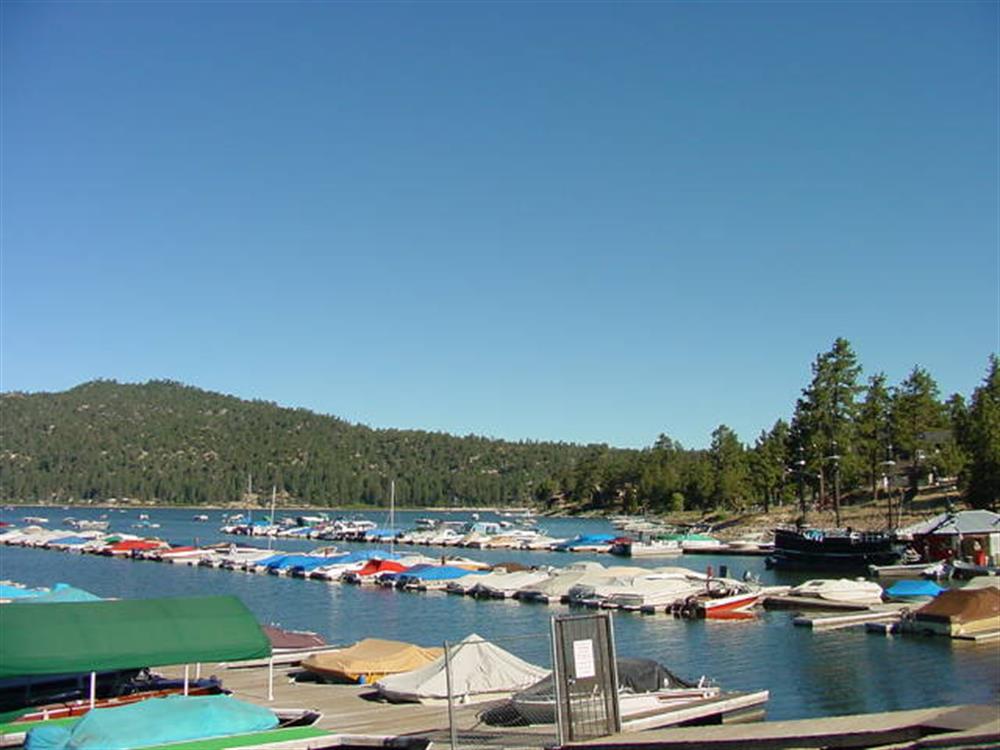 Holloway's Marina 5