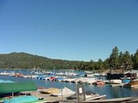 Holloway's Marina 5