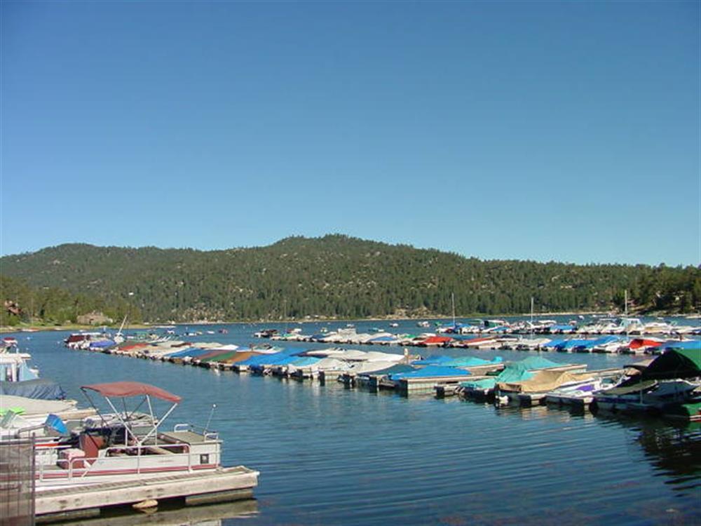 Holloway's Marina 6