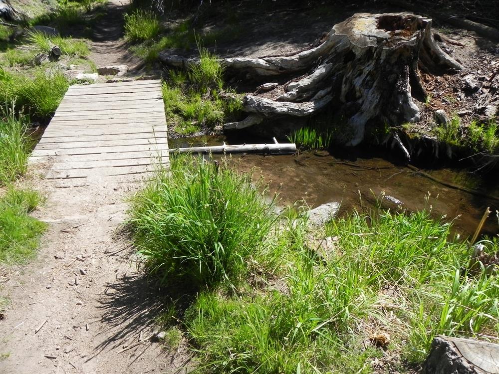 The Beginning of trail