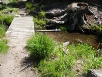 Beginning of trail