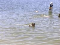 Canadian visitor enjoying the water