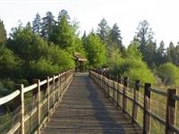 Stanfield Boardwalk and Gazebo