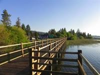 Stanfield Marsh Boardwalk looking west