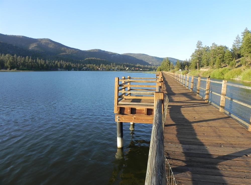 Stanfield Marsh Boardwalk lookout