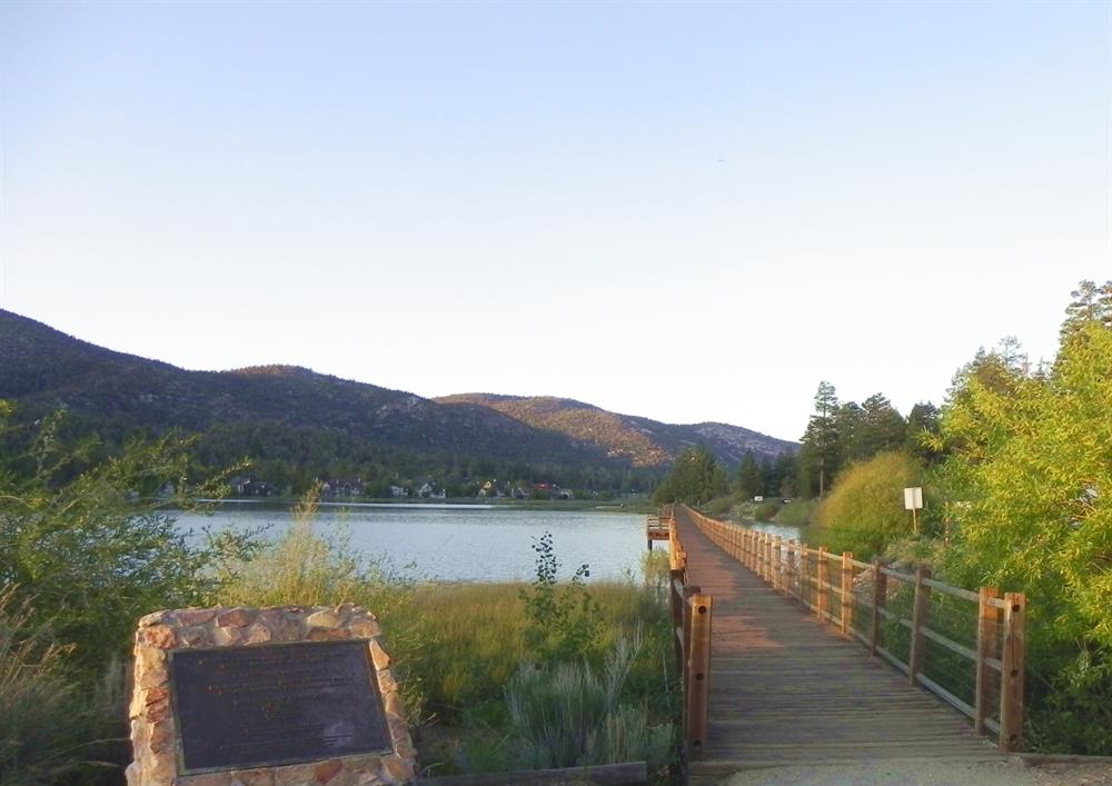 Stanfield Marsh Boardwalk