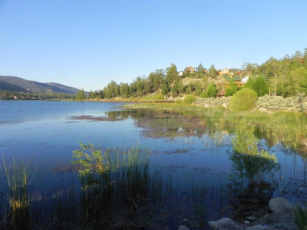 Stanfield Marsh