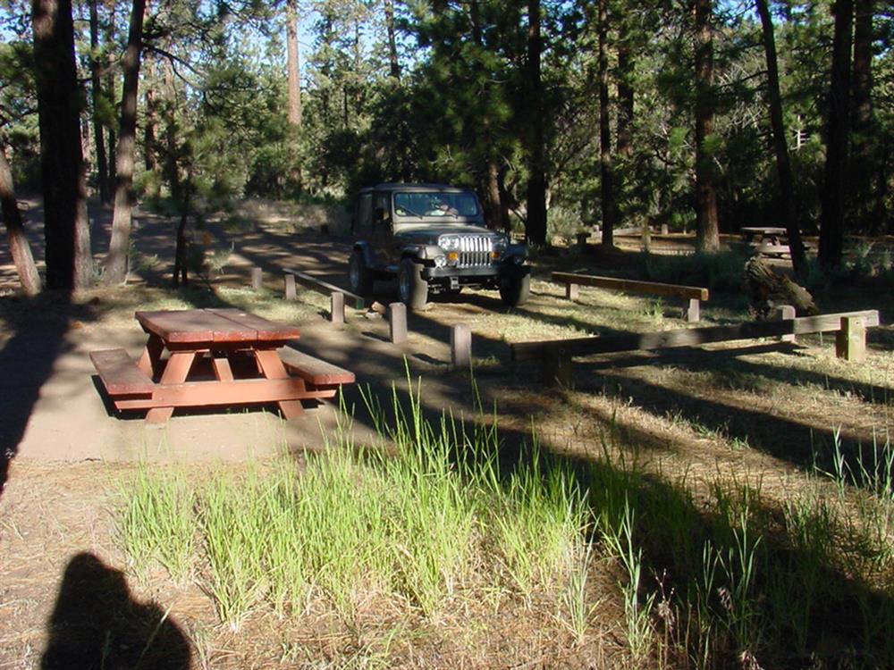 DSC00005