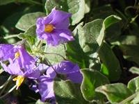 DSC00023